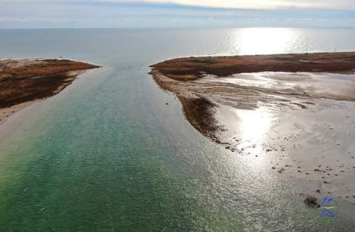Море само пробило преграду /фото НПП "Тузловские лиманы" Море само пробило преграду /фото НПП "Тузловские лиманы"