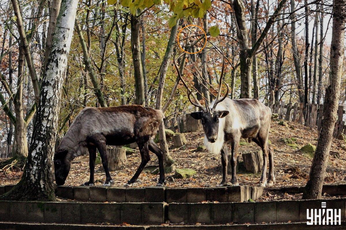 Відповідь / Фото УНІАН Відповідь / Фото УНІАН
