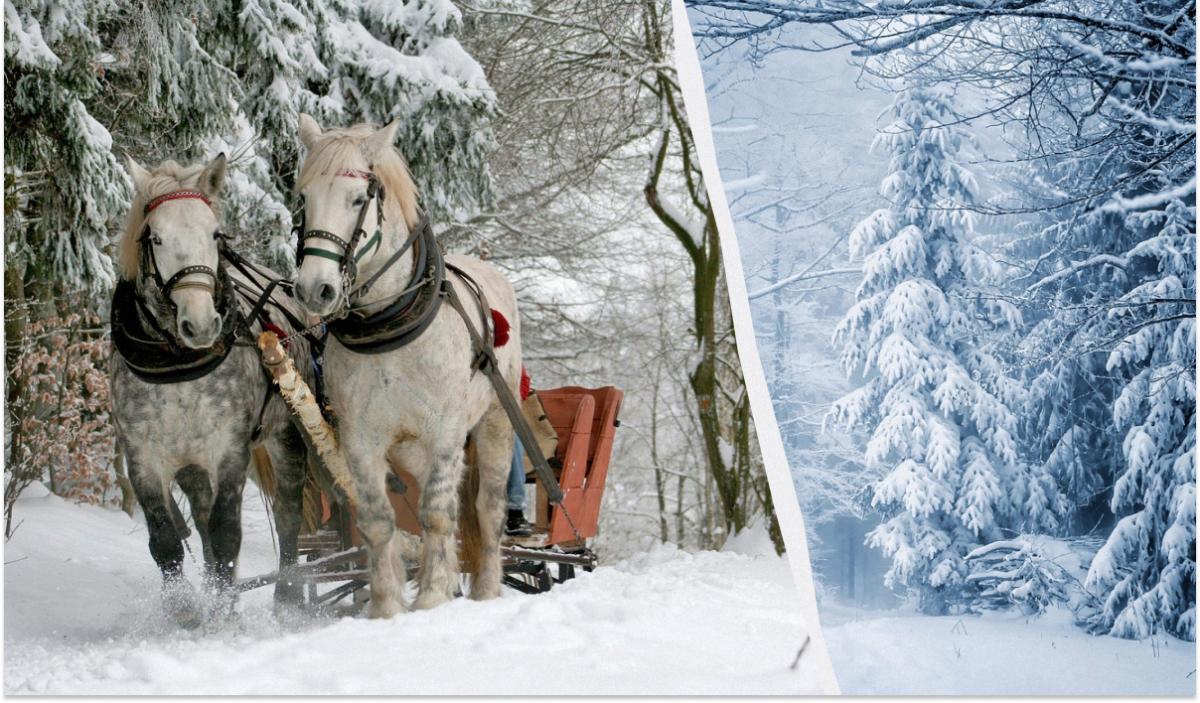 Яке сьогодні свято 27 грудня / колаж УНІАН, фото ua.depositphotos.com Яке сьогодні свято 27 грудня / колаж УНІАН, фото ua.depositphotos.com