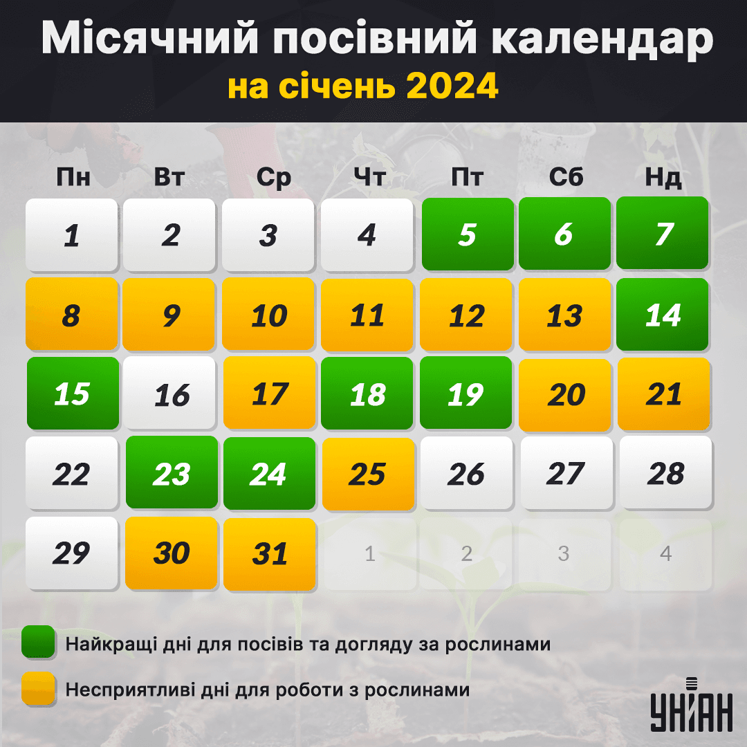 Місячний посівний календар на січень 2024 таблиця / картинка УНІАН