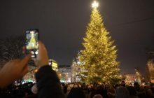 Во Львове засветили главную елку города (фото, видео)