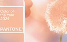 Pantone выбрал цвет 2024 года