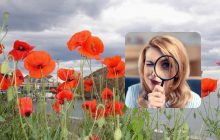 Головоломка для людей с отличным зрением: проверьте свое