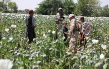 Афганістан вже не лідер з виробництва опіуму: в ООН сказали, хто посів його місце