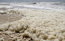 Морська піна містить небезпечну концентрацію "вічних хімікатів"