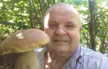 Подрыв гранат в сельсовете на Закарпатье: среди пострадавших военный на протезах