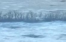 Десятки одиниць ворожої техніки пущено на брухт: які успіхи в українських гвардійців (відео)