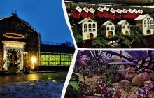 Оранжерея на ВДНГ: куди піти за різдвяним настроєм у Києві (фоторепортаж)