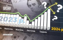 Год несокрушимости гривны. Какой курс валют ждать в 2024 году