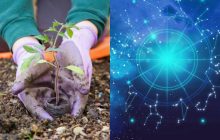 Рак - садівництво, Стрілець - походи: яке хобі підходить вашому знаку Зодіаку