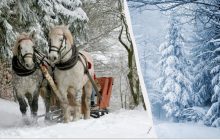Народный праздник 29 декабря: почему этот день опасен для детей
