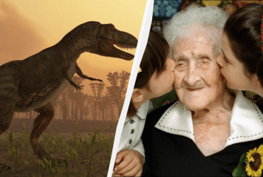 Люди помирають від старості з вини динозаврів, – вчені