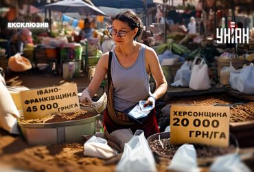 10 тысяч га в одни руки: кому и за какие деньги будут продавать украинскую землю с 1 января