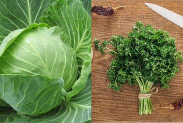 Названы 18 самых питательных листовых овощей