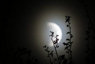 Последнее новолуние 2023 года: что оно нам принесет