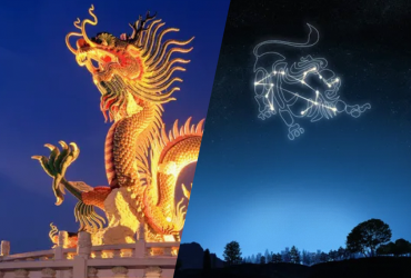 Гороскоп на 2024 год для Львов: прогноз от Макса Гордеева