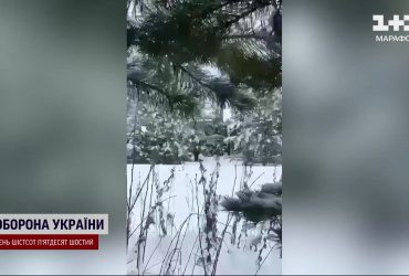 Відео та фото спецоперації з ліквідації Киви