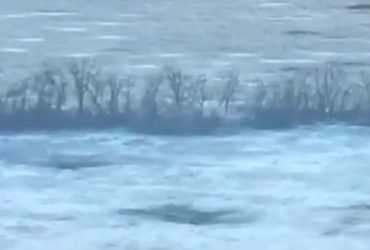 Десятки единиц вражеской техники пущены на лом: какие успехи у украинских гвардейцев (видео)