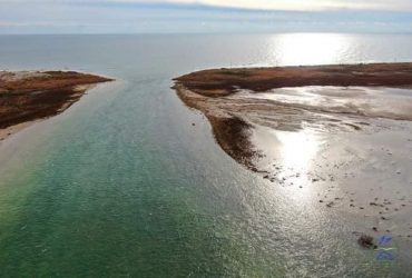 Произошло чудо: в Одесской области море пробило путь к заповедным водоемам (видео)