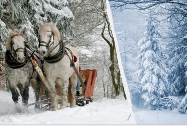 Народный праздник 27 декабря: пять главных запретов этого дня