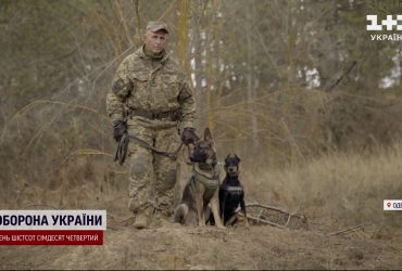 Чотирилапі чемпіони з пошуку вибухівки: запрацював перший кінологічний підрозділ ТРО