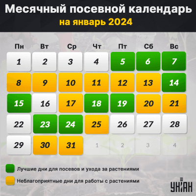 Посевной календарь на март года: таблицы и советы по дням