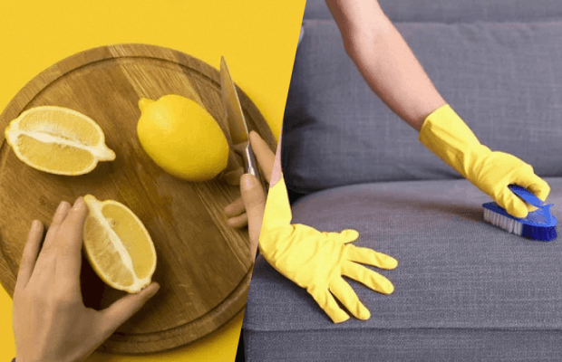 Чохли знімати не доведеться: як прибрати запах затхлості з дивана за 2 хвилини