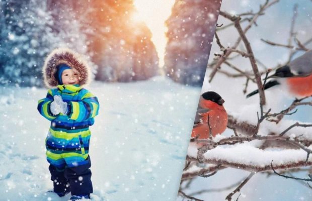 Народне свято 15 грудня: чому цей день небезпечний для дітей