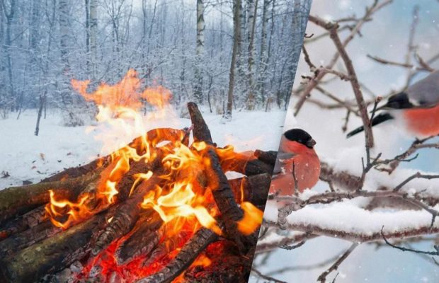 Народне свято 16 грудня: чотири суворі заборони цього дня