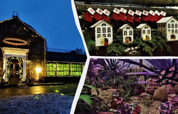 Оранжерея на ВДНХ: куда пойти за рождественским настроением в Киеве (фоторепортаж)