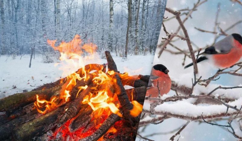 Какой сегодня праздник 16 декабря / коллаж УНИАН, фото ua.depositphotos.com Какой сегодня праздник 16 декабря / коллаж УНИАН, фото ua.depositphotos.com