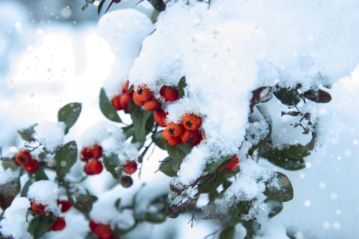 https://images.unian.net/photos/2024_01/1704963349-1110.jpg?r=937542