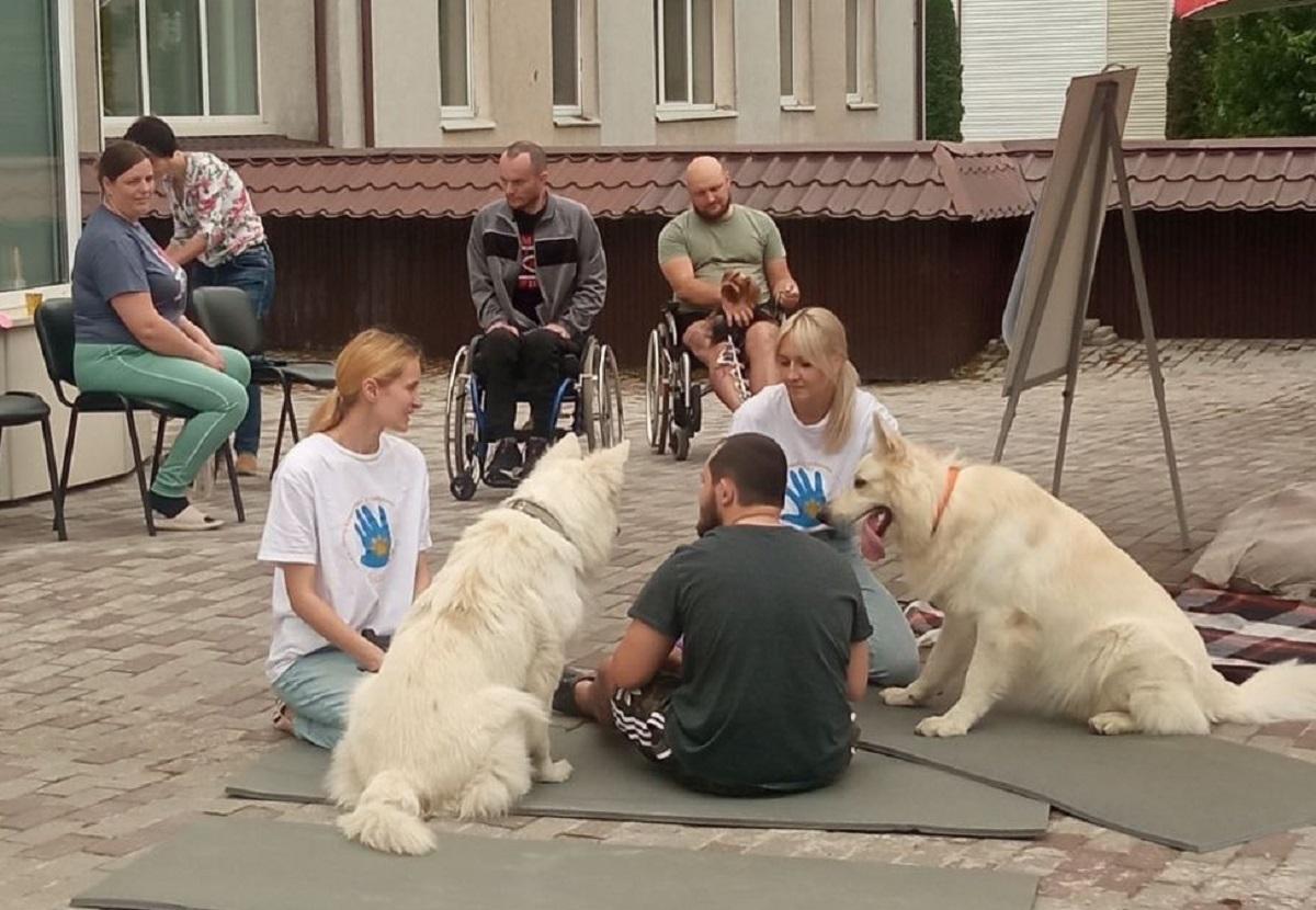 До каністерапії частіше долучають собак-компаньйонів / фото з Facebook-сторінки P4P