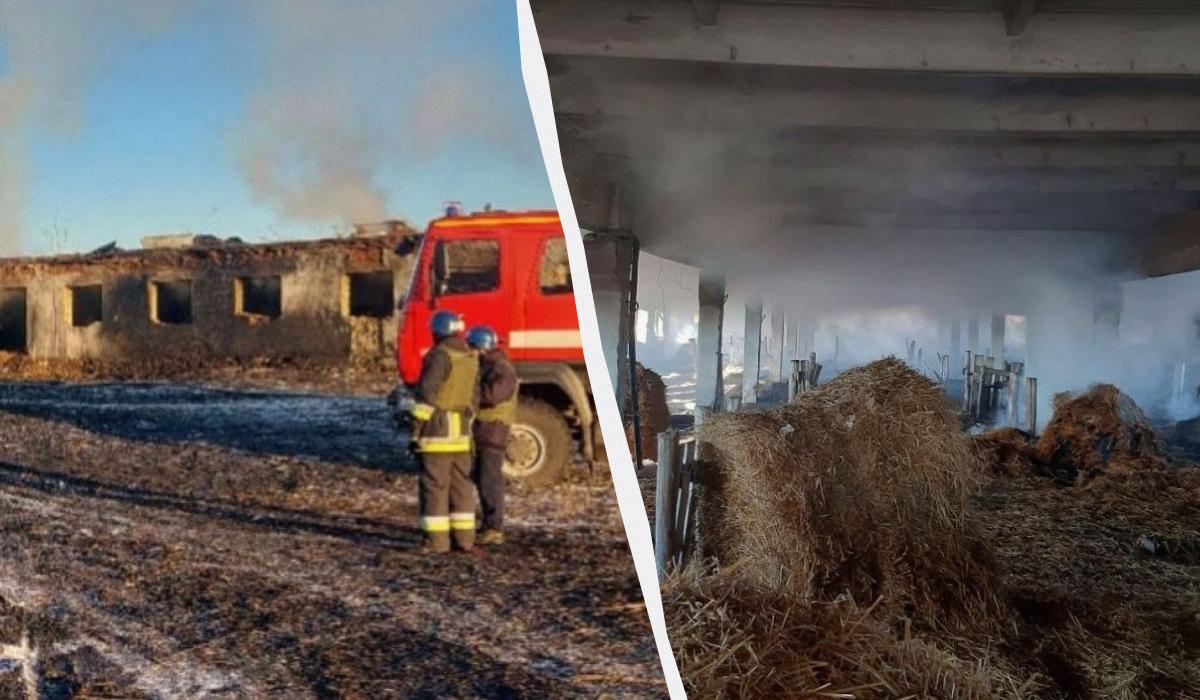 Зруйновано порожнє приміщення для утримання худоби та заготівлі сіна / колаж УНІАН, фото Сил оборони півдня Зруйновано порожнє приміщення для утримання худоби та заготівлі сіна / колаж УНІАН, фото Сил оборони півдня