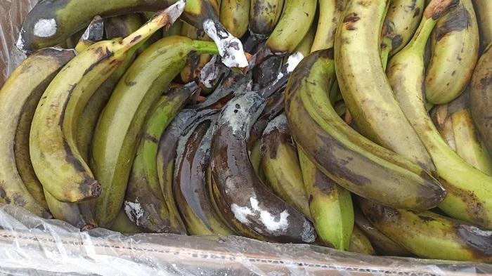 Банани для військових виявилися гнилі / фото Міноборони