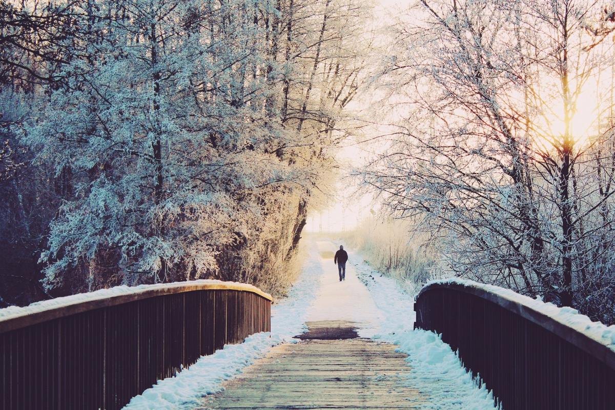 10 февраля праздник Украина / фото pixabay.com 10 февраля праздник Украина / фото pixabay.com