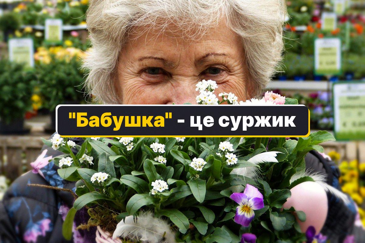 У побуті українці часто використовують слово «бабушка» / колаж УНІАН, фото pixabay.com У побуті українці часто використовують слово «бабушка» / колаж УНІАН, фото pixabay.com