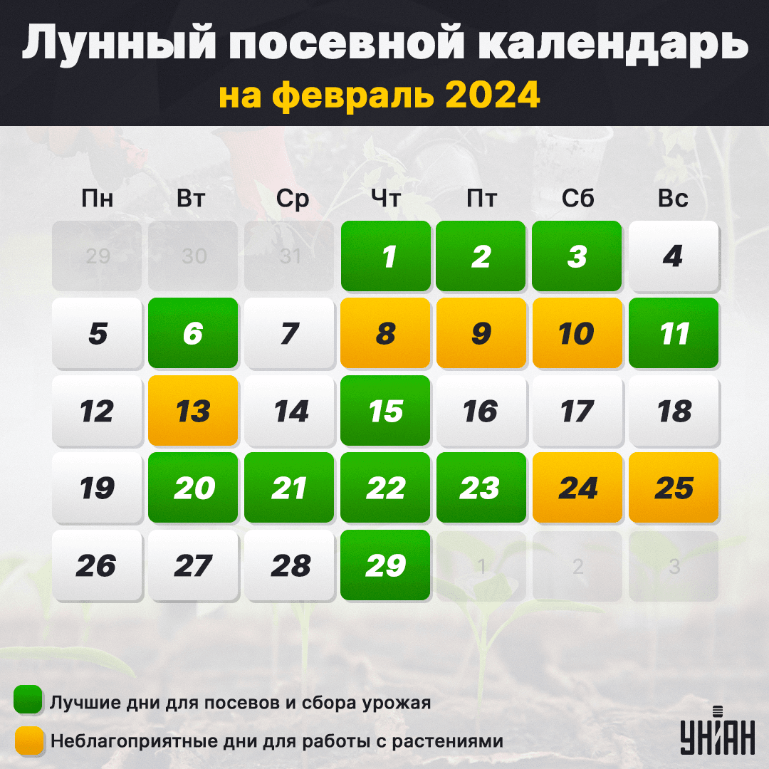 Лунный посевной календарь на февраль 2024 таблица / фото УНИАН Лунный посевной календарь на февраль 2024 таблица / фото УНИАН
