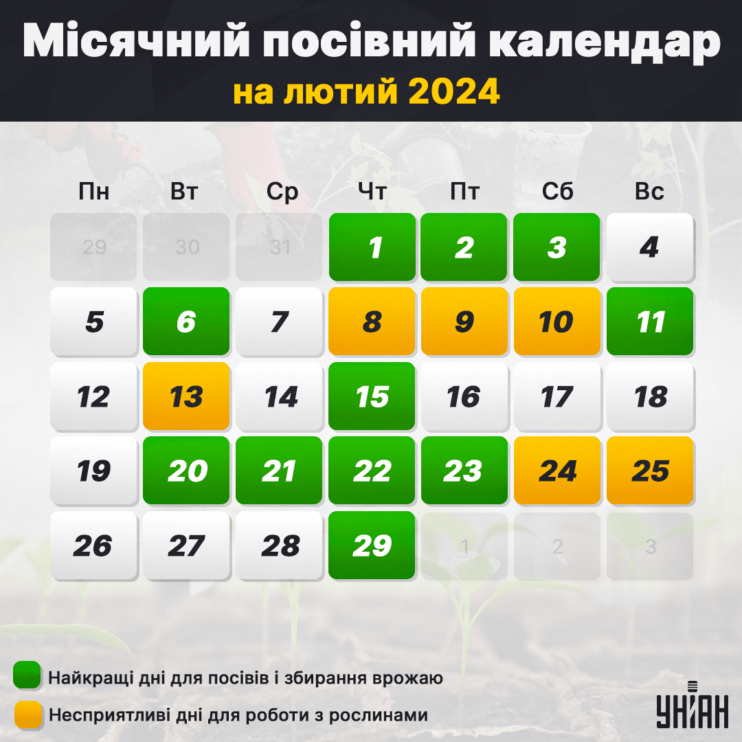 Місячний посівний календар на лютий 2024 таблиця / фото УНІАН Місячний посівний календар на лютий 2024 таблиця / фото УНІАН