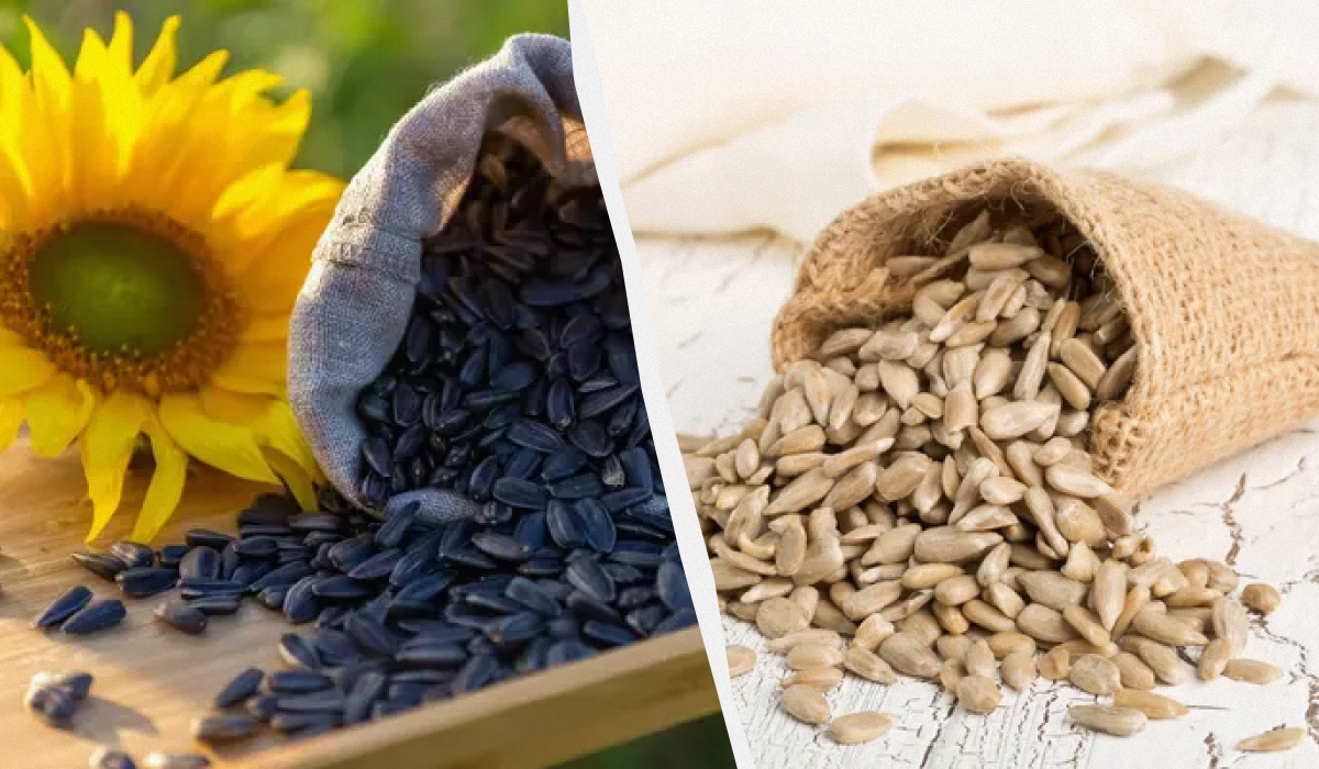 Насіння соняшнику-користь, шкода, скільки можна їсти / колаж УНІАН, фото ua.depositphotos.com