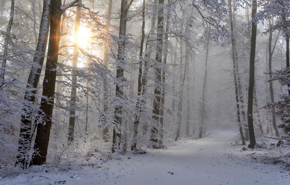 https://images.unian.net/photos/2024_01/1706610531-5459.jpg?r=974314