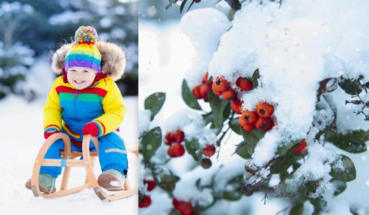Яке сьогодні свято 3 лютого / коллаж УНИАН, фото ua.depositphotos.com Яке сьогодні свято 3 лютого / коллаж УНИАН, фото ua.depositphotos.com