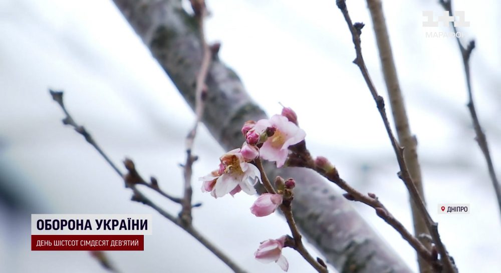 Погода в красногвардейском на 10 дней