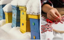 Народный праздник 4 января: что нужно сделать для крепкого здоровья