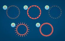 Выберите круг, который вам больше всего нравится: удивительно точный тест на личность