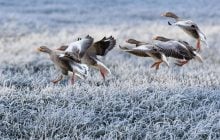 Во Львове объявили оранжевую опасность: что будет с погодой (инфографика)