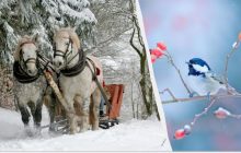 Народный праздник 8 января: кого стоит пригласить в гости