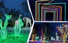 Казкові тварини та пшеничне поле: що пропонує парк світлових інсталяцій на ВДНГ (фоторепортаж)