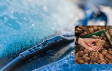 Експерт закликає водіїв щодня "натирати картоплиною лобове скло", і ось навіщо