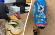 Ніж в хлібі, травичка в підгузку: найдивніші речі, які пасажири намагалися пронести в літак